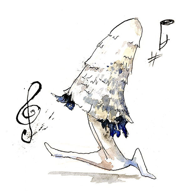 Tanzende Morchel. Illustration von Sandra Viehweg.
