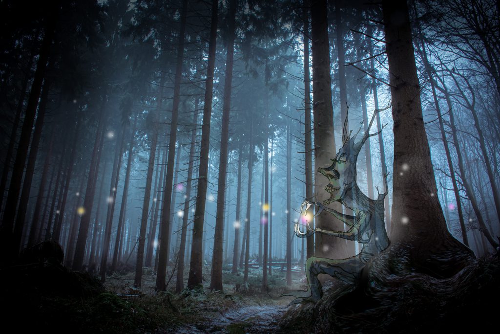 Fotografie und Illustration. Im dunklen Wald hockt der Irrlichtmacher und sendet seine kleinen Boten hinaus in die Welt.