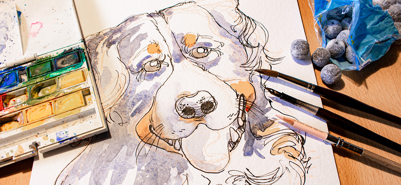 Zeichnen lernen für Anfänger: Hundeporträt malen lernen