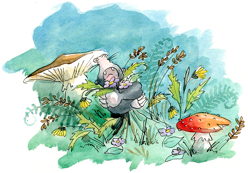 Ein Kinderbuch illustrieren lassen: Paul Schöbel liebt Kräuter mit Wumms! Illustration von Sandra Viehweg