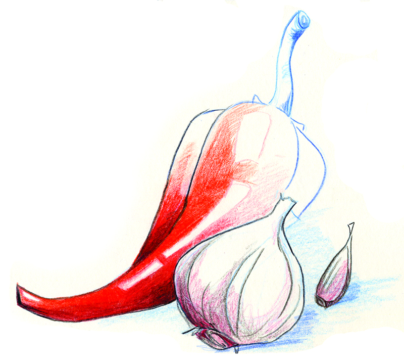 Buntstiftzeichnung einer Paprika - Zeichnen lernen