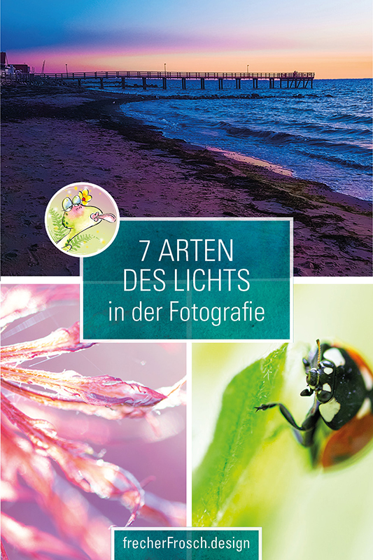 Das richtige Licht: 7 Arten des Lichts in der Fotografie