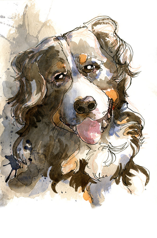 Hund malen Aquarell: Schritt für Schritt - das fertige Porträt