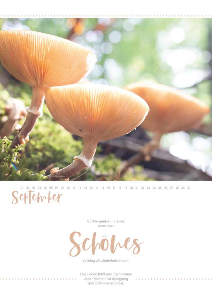 Immerwährender Wandkalender Makrofotografie