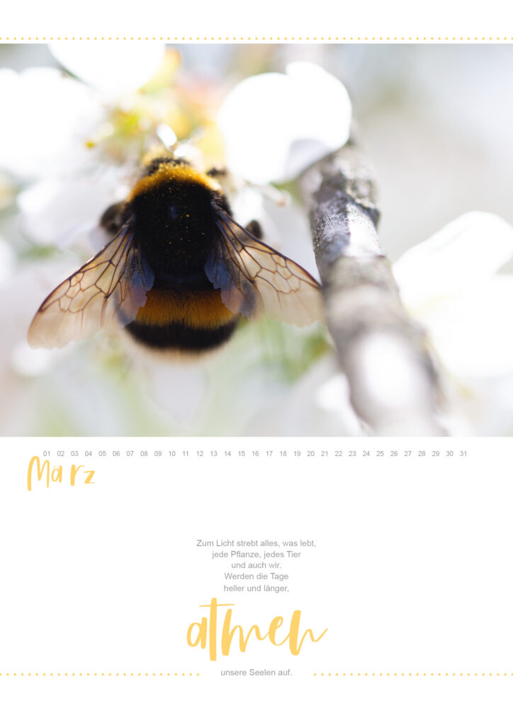 Immerwährender Wandkalender 2026 - Makrofotografie