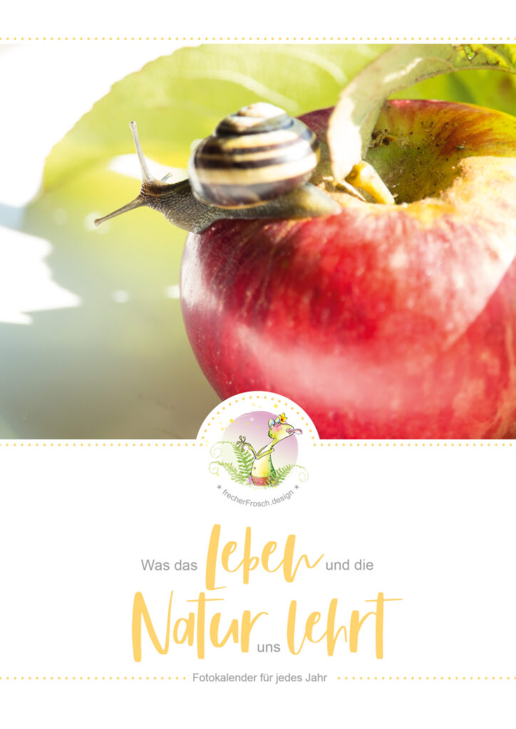 Immerwährender Kalender - Naturfotografie Makrofotos