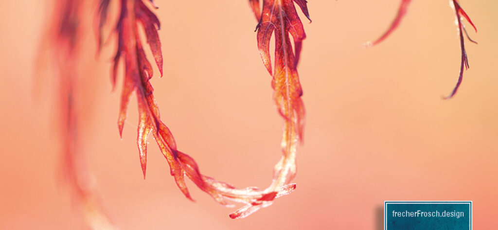Immerwährender Kalender - zeitlos mit Naturfotos